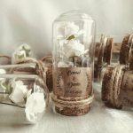 گیفت عروسی شکوفه سفید