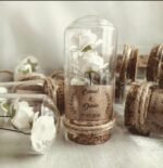 گیفت عروسی شکوفه سفید