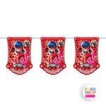 ریسه تولد دختر کفشدوزکی