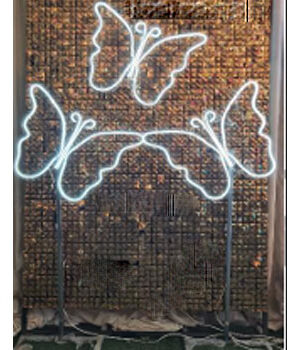 نئون پلکسی پروانه ساده