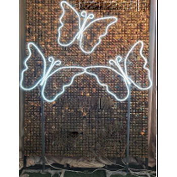 56655433 نئون پلکسی پروانه ساده