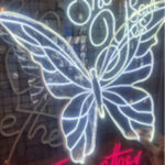 نئون پلکسی پروانه طرحدار