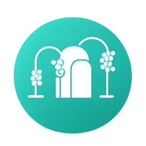 استند و بکگراند